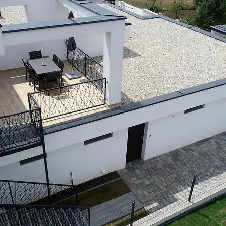 Zita * 본보야크바세기