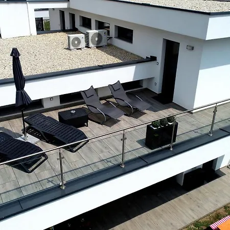 Zita 본보야크바세기